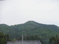 P5030001