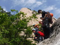 DSCF3695