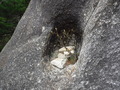 DSCF3609