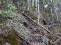 DSCF0160