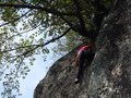 DSCF1378