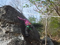 DSCF1891