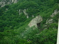DSCF7817