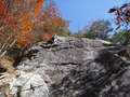 DSCF1039