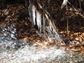 DSCF1152