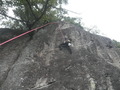 PB020005