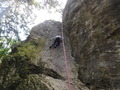 DSCF8235