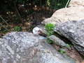 DSCF0405