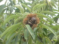 P9290004