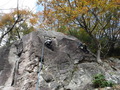 DSCF0928
