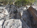 DSCF9881