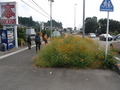 DSCF4881