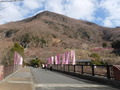 DSCF2465