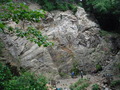 DSCF8188