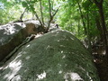 DSCF0185