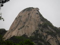 DSCF7564