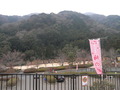 P2060051