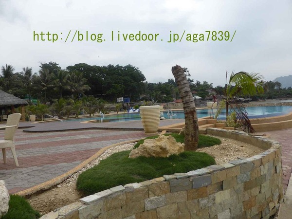 P10005381