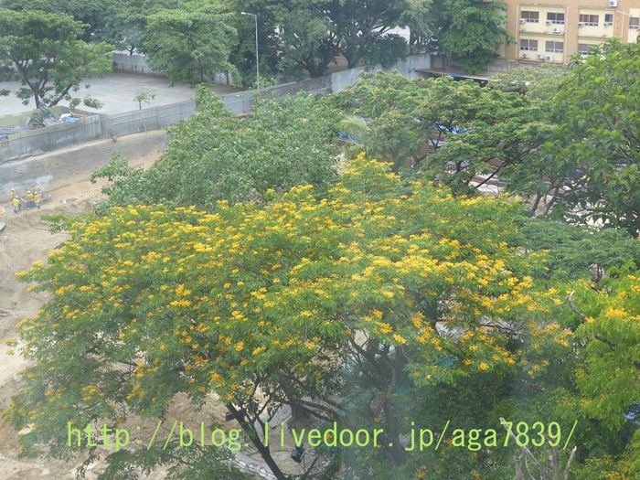 P1090957