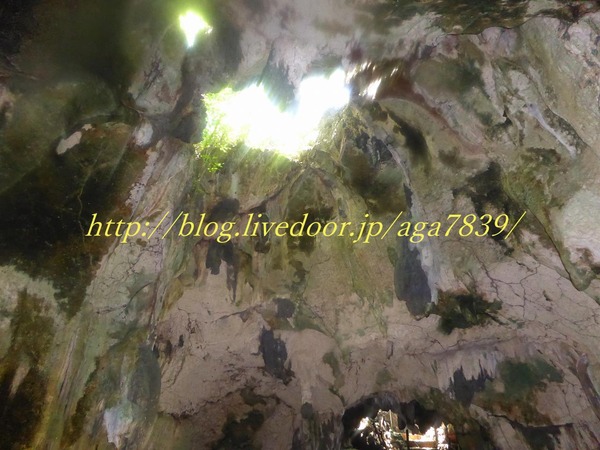 P1010770