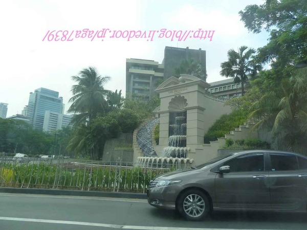 P12805051