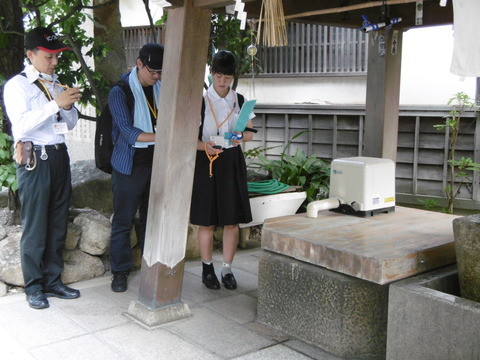 自然いど