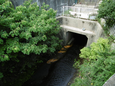 P1020009
