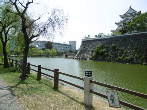 城