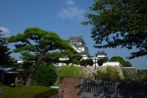 岸高