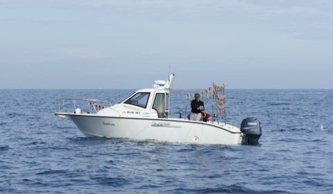 2011-10-29-3