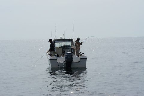 2011-10-14-3