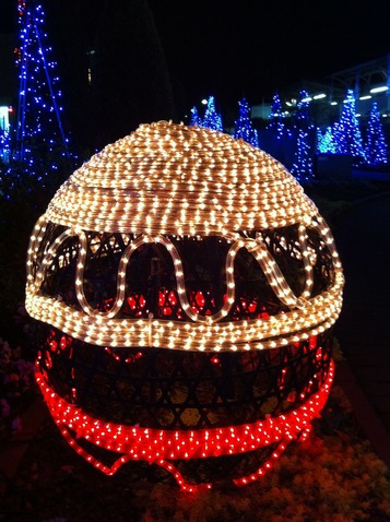 fukaya5