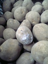 kusare120403