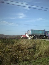 bito111101