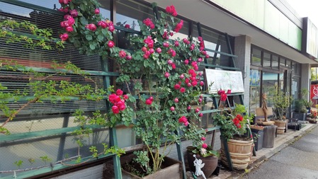 20170602_093822