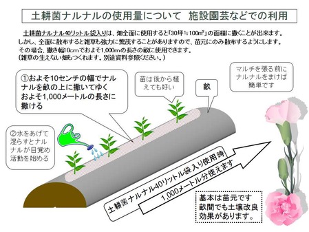 006施設園芸02