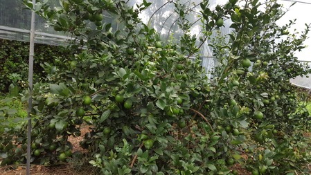 20171029_092234