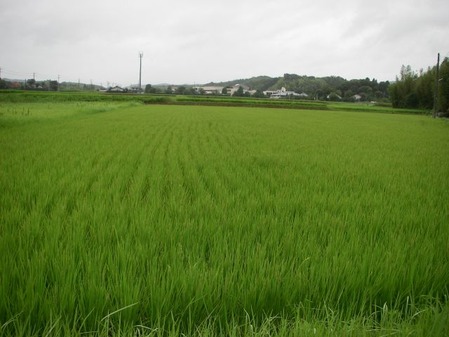 ijh001+1