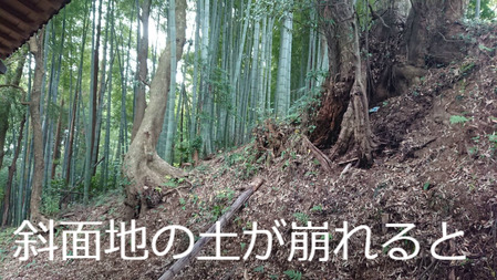 BlogPaint