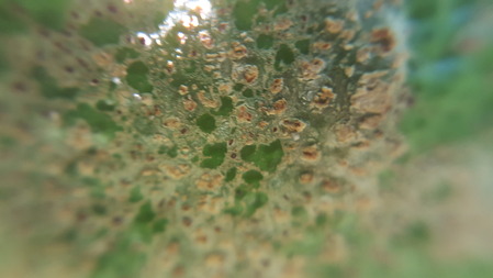 20171031_105517