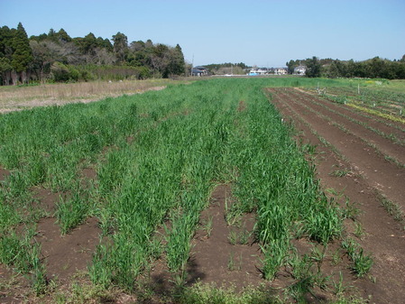 20130404_104252