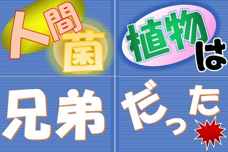 3兄弟