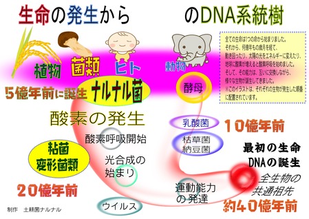 勾玉の生命樹パス変換3_pages-to-jpg-0001