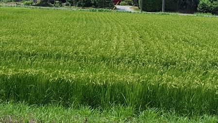 20170720_124704