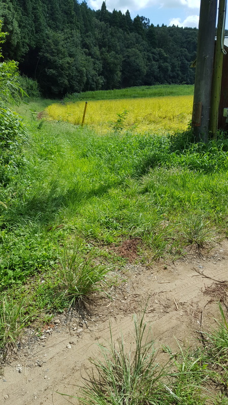 20160910_121712