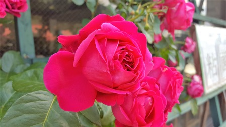 20170602_093921