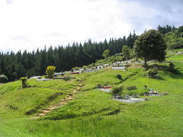 maori2