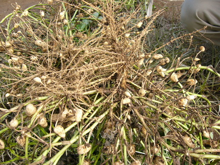 P1020373