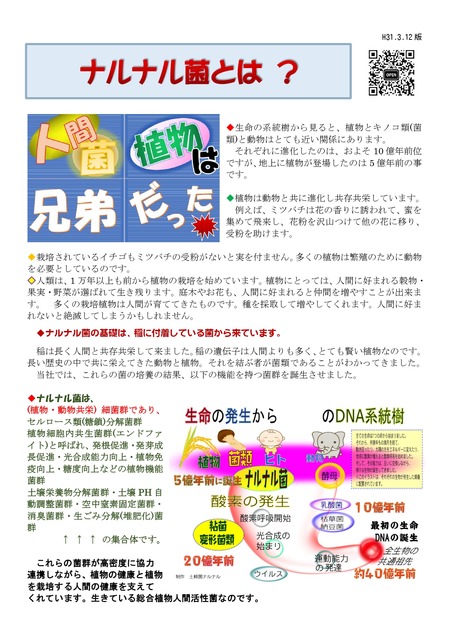 001ナルナル菌新説解説5_pages-to-jpg-0001