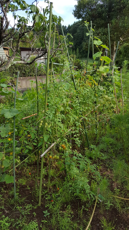 20160728_161241